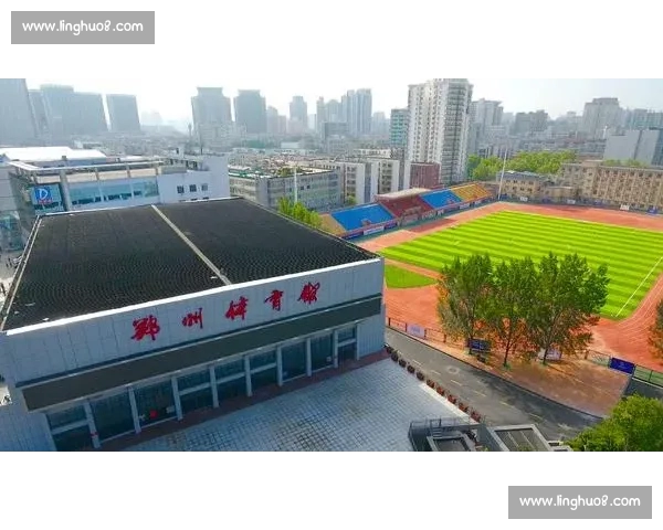 聚焦中国体育直播新时代全景解析与产业发展趋势观察深度报道创新路径